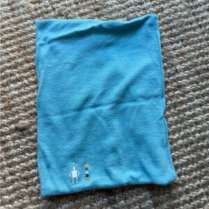Smartwool Merino Wool 250 Neck Gaiter in Wave Blue Heather color